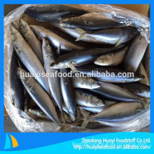 high quality frozen mackerel fish whole round 200-300g